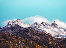 开云APP-李月汝将重返WNBA达拉斯飞翼队